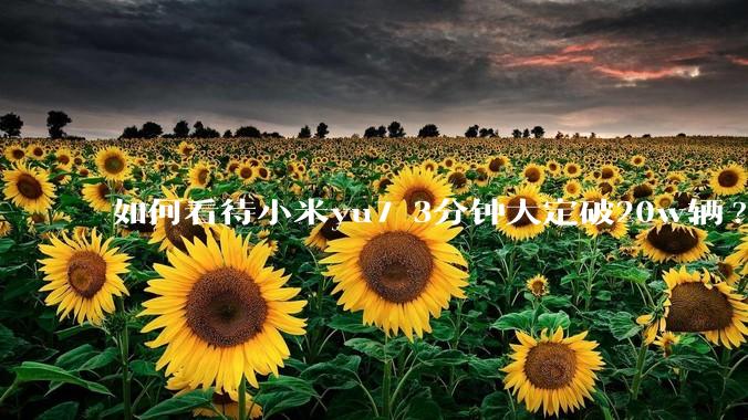 如何看待小米yu7 3分钟大定破20w辆?