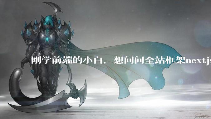 刚学前端的小白，想问问全站框架nextjs+shadcn+prisma为什么在国内不火呢？